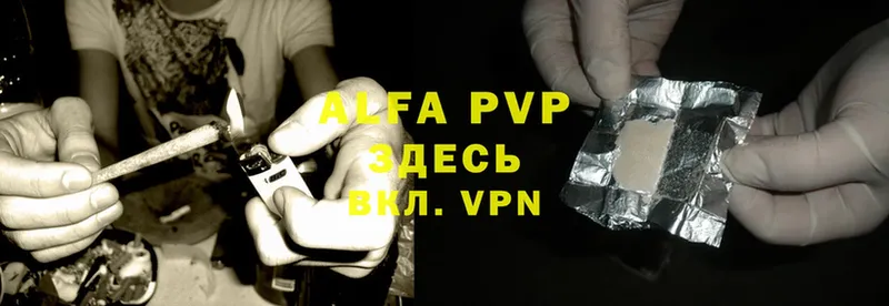 Alfa_PVP СК КРИС  Тайга 